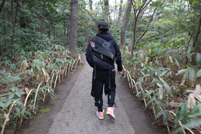 Madsaki and Meiji Shrine