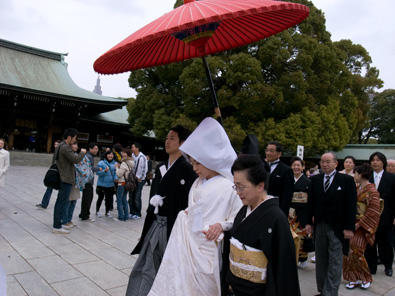 Madsaki and Meiji Shrine