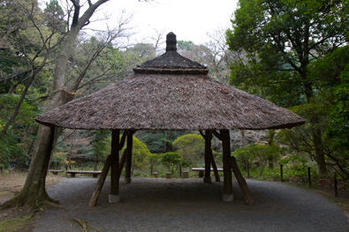 Madsaki and Meiji Shrine