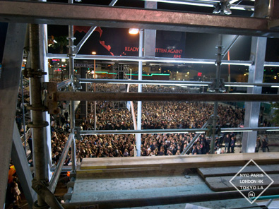 dmscaffolding1